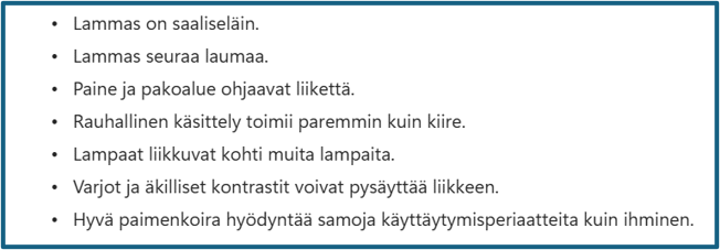 Millainen lammas on?