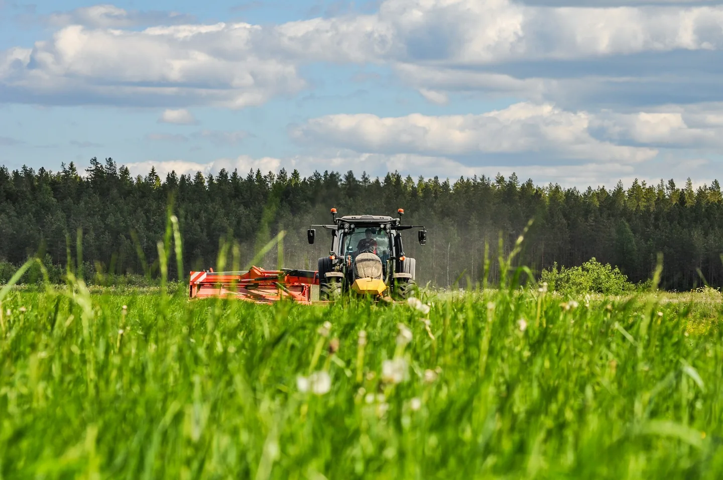 NIITTO HANNELE ANTILA