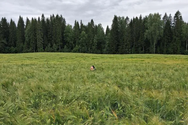 Pellolla Reetta Kivinen