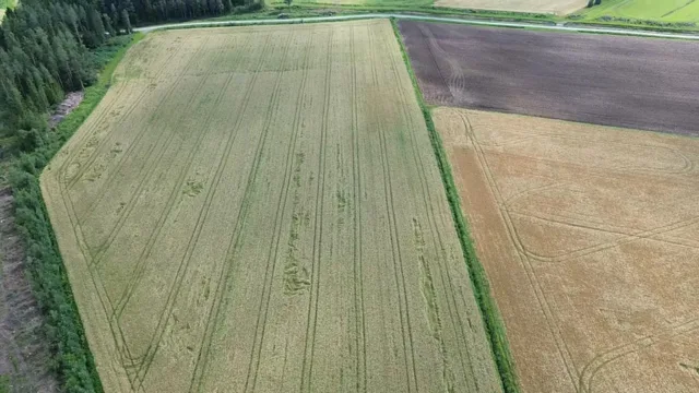 Peltolohkot Ville Myllyla