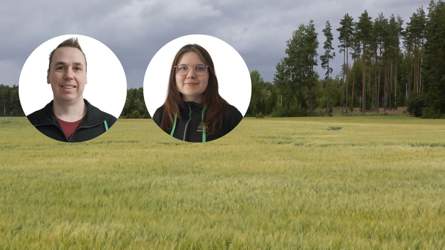 Talouswebinaari Ita Suomi syksy 2025