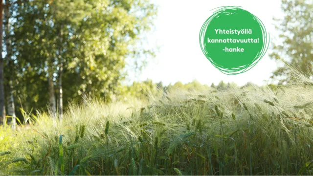 Yhteistyolla kannattavuutta paakuva