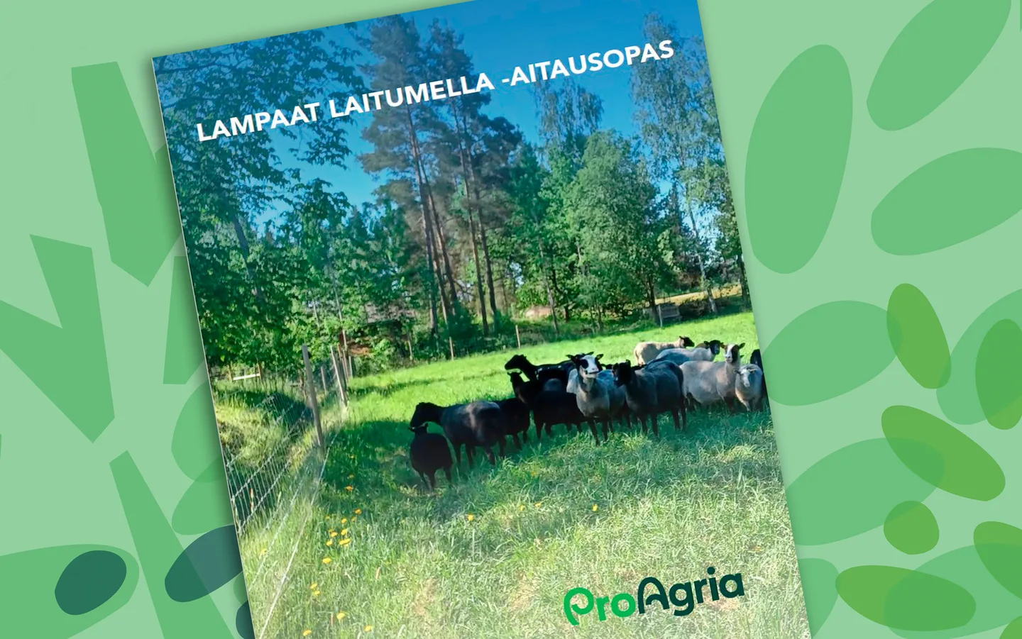 Aitausopas kuva2 Pro Agrianetti julkaisut