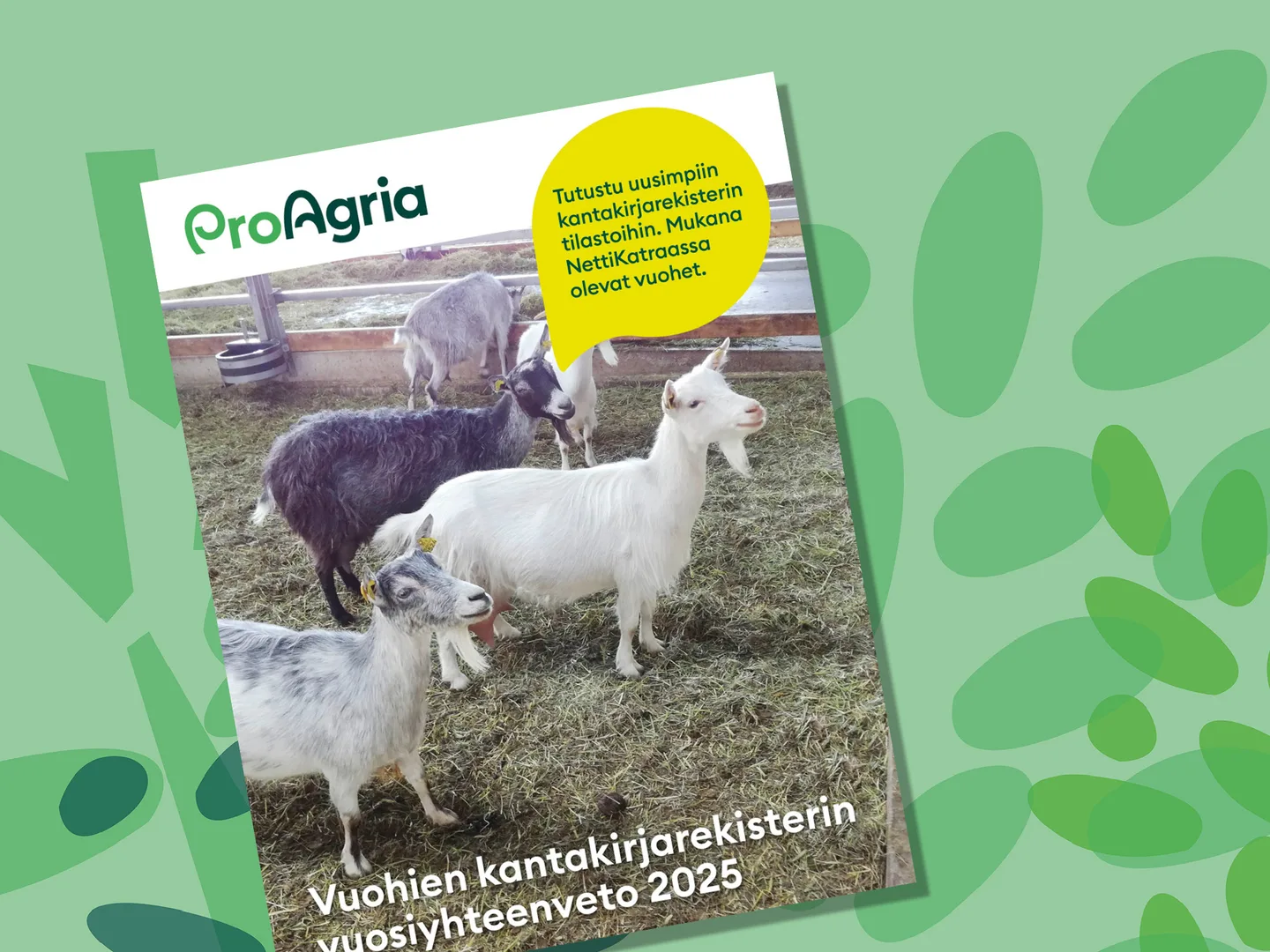 Pro Agrian tuotosseurannan vuosiyhteenveto VUOHET 2025 julkaisu