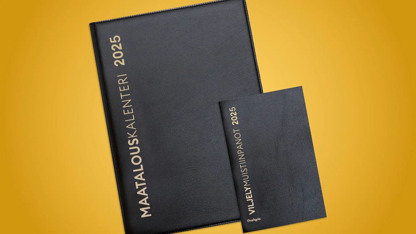 Kalenteri25 uutiskirje pikkukuva