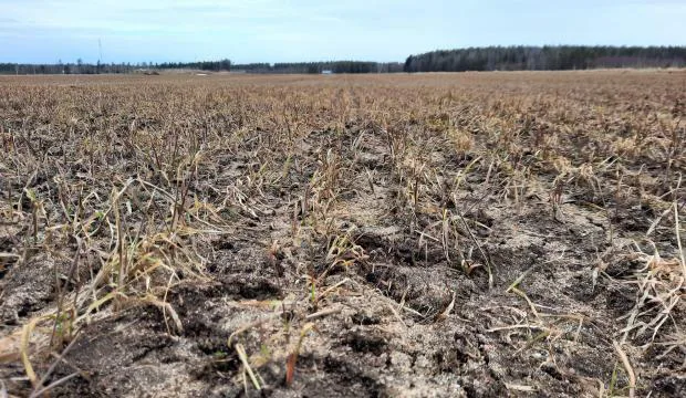 20220502 syysvehna 0