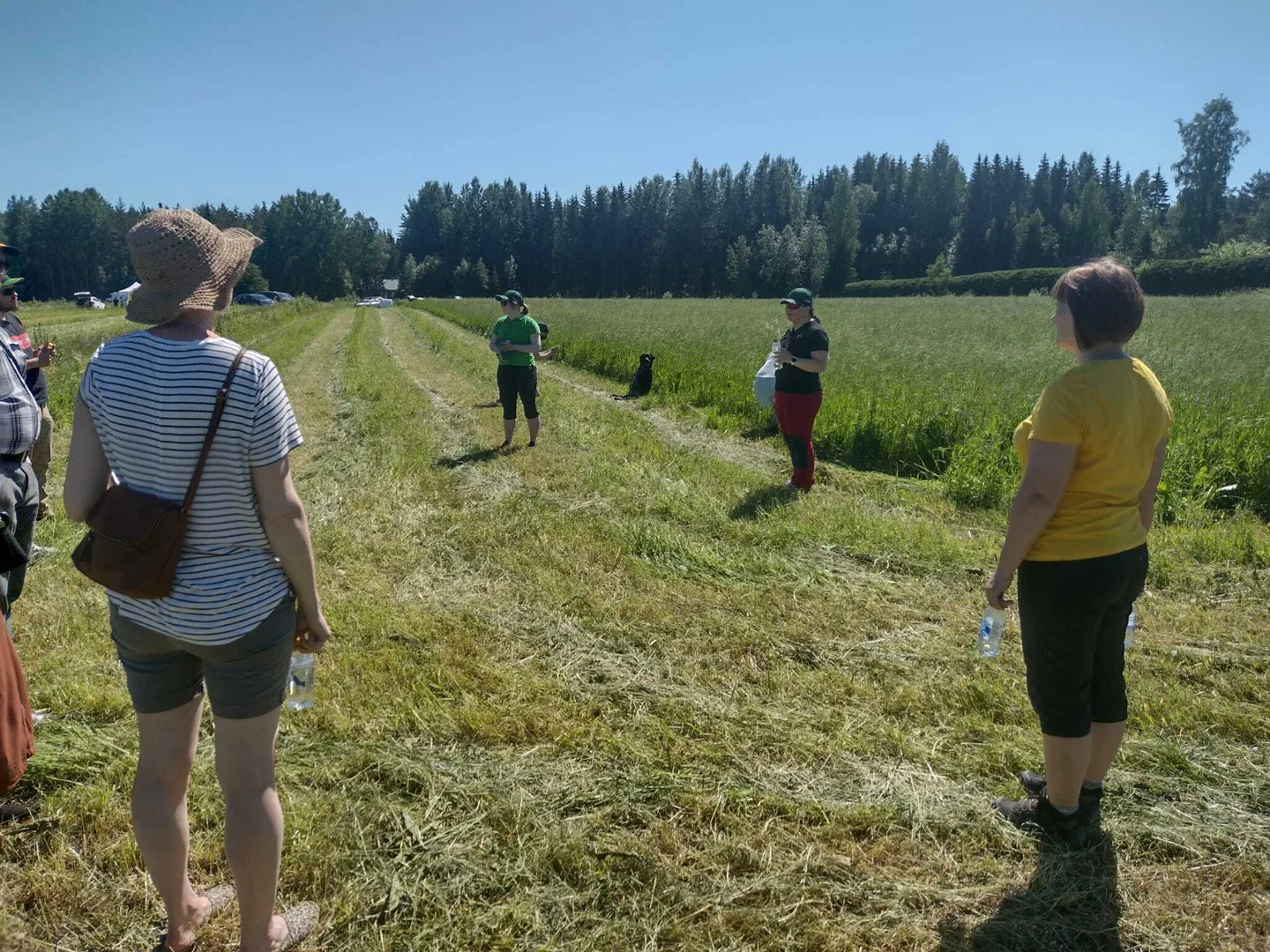 CA peltopaivassa Hertta VAIN TAHAN BLOGIIN