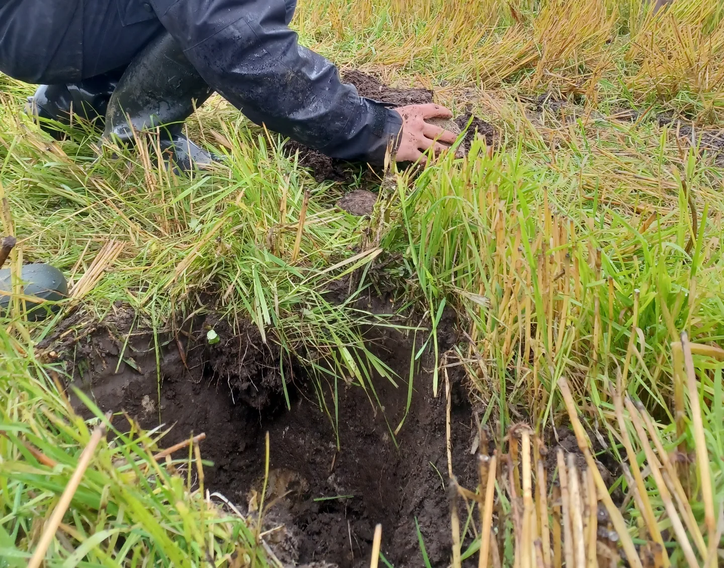 Maan Kaivamista Hanna Maria Laukkanen