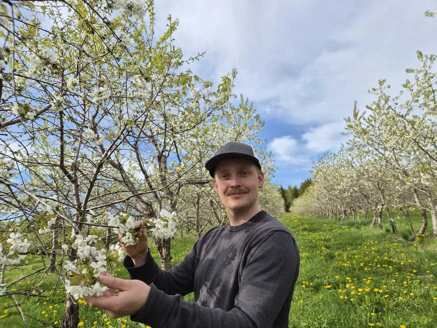 Tommolan tila anssi