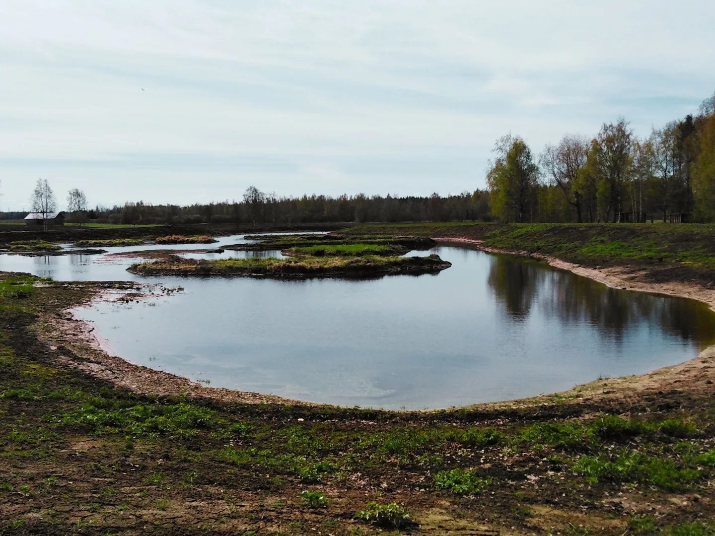 Kosteikkoblogi paakuva