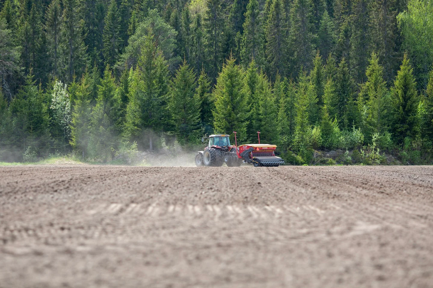 Traktori äestämässä kynnettyä peltoa