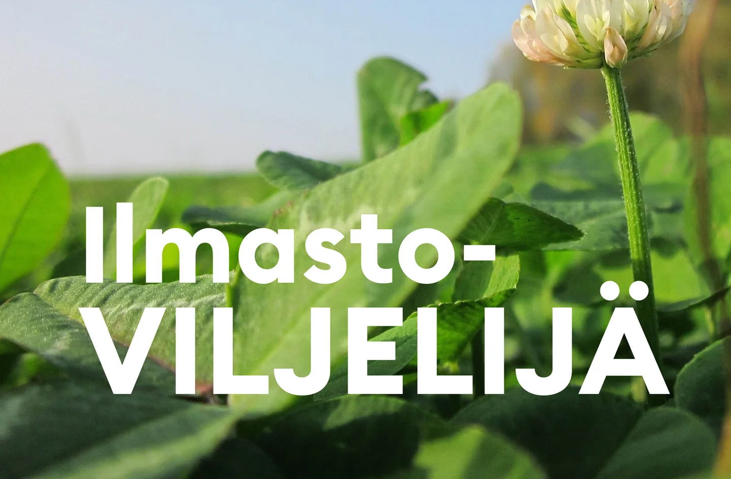 Ilmastov nettisivu