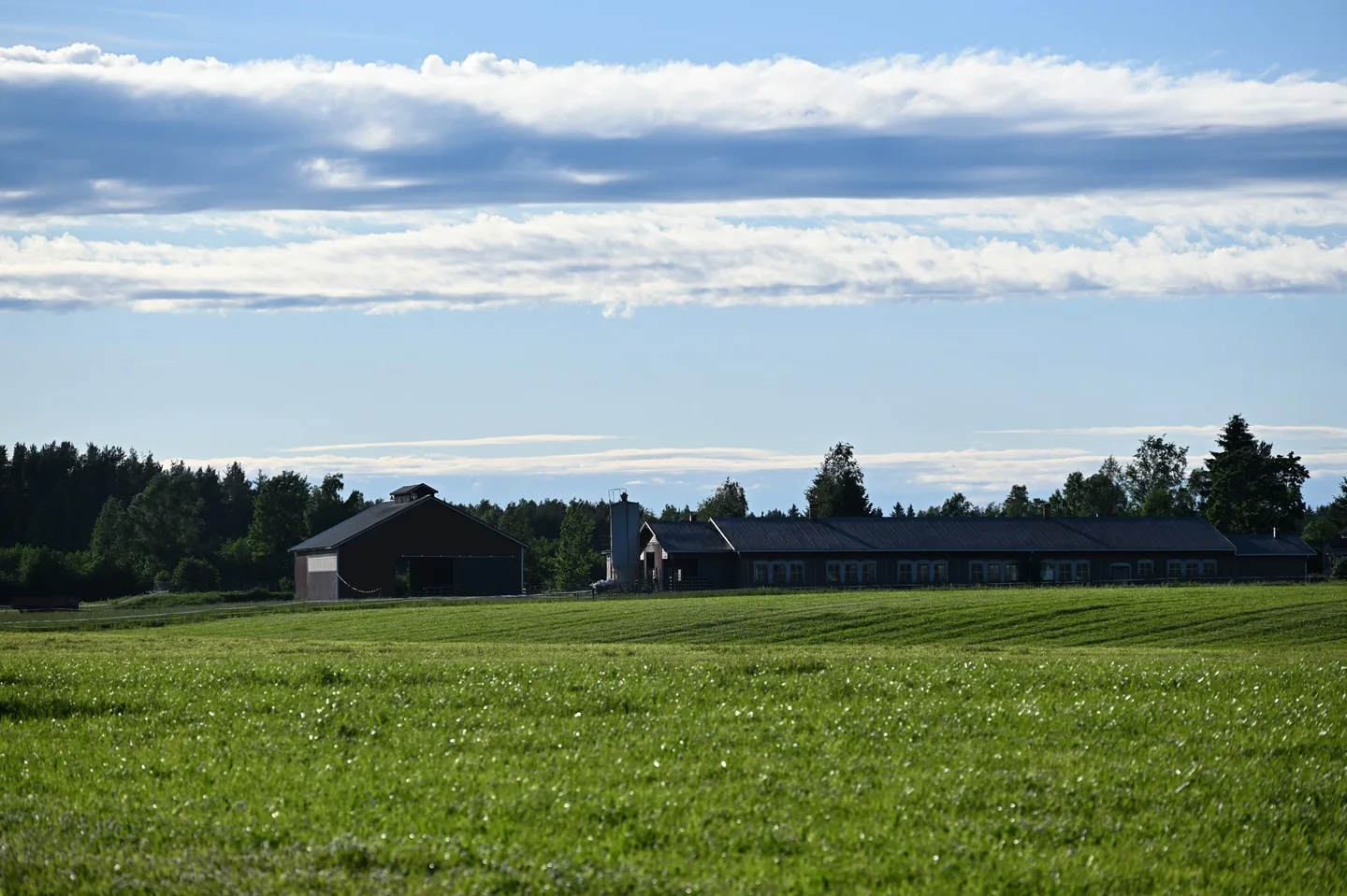 Maatilarakennuksia kesalla