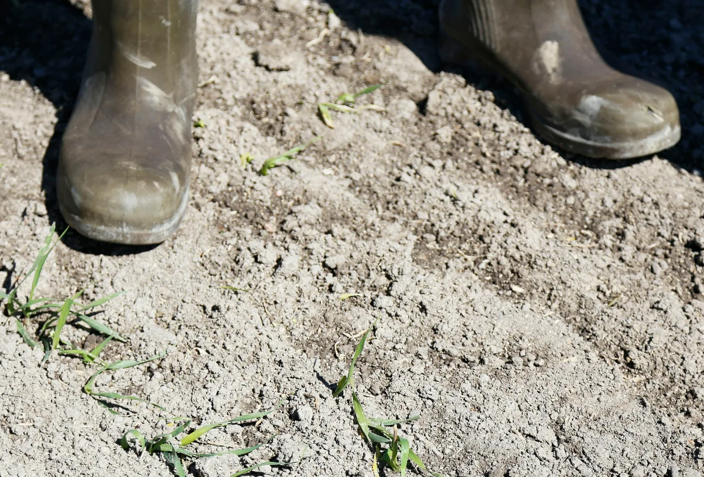 Saappaat Essi Jokela