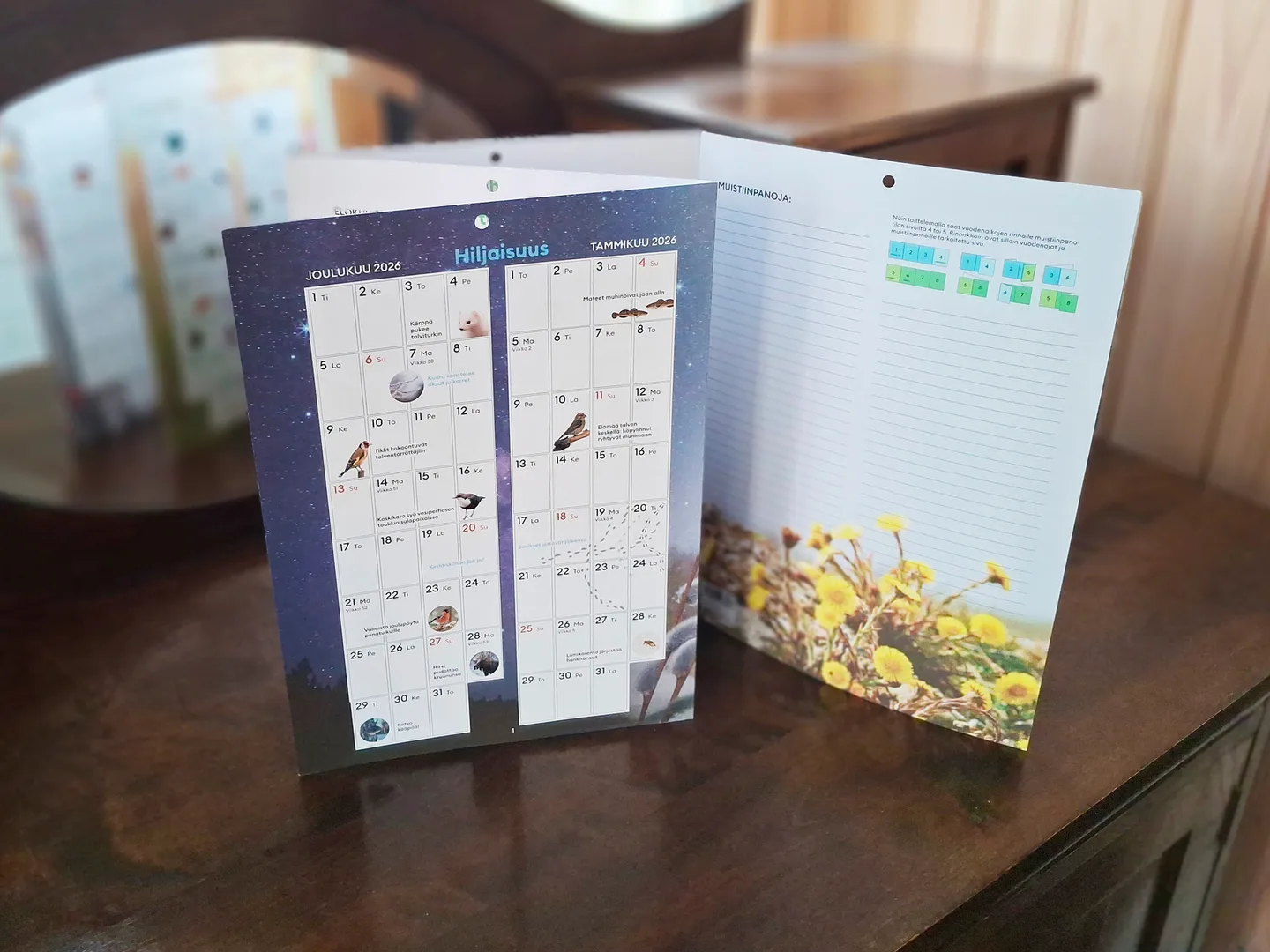 6vuodenaikaa nettisivut