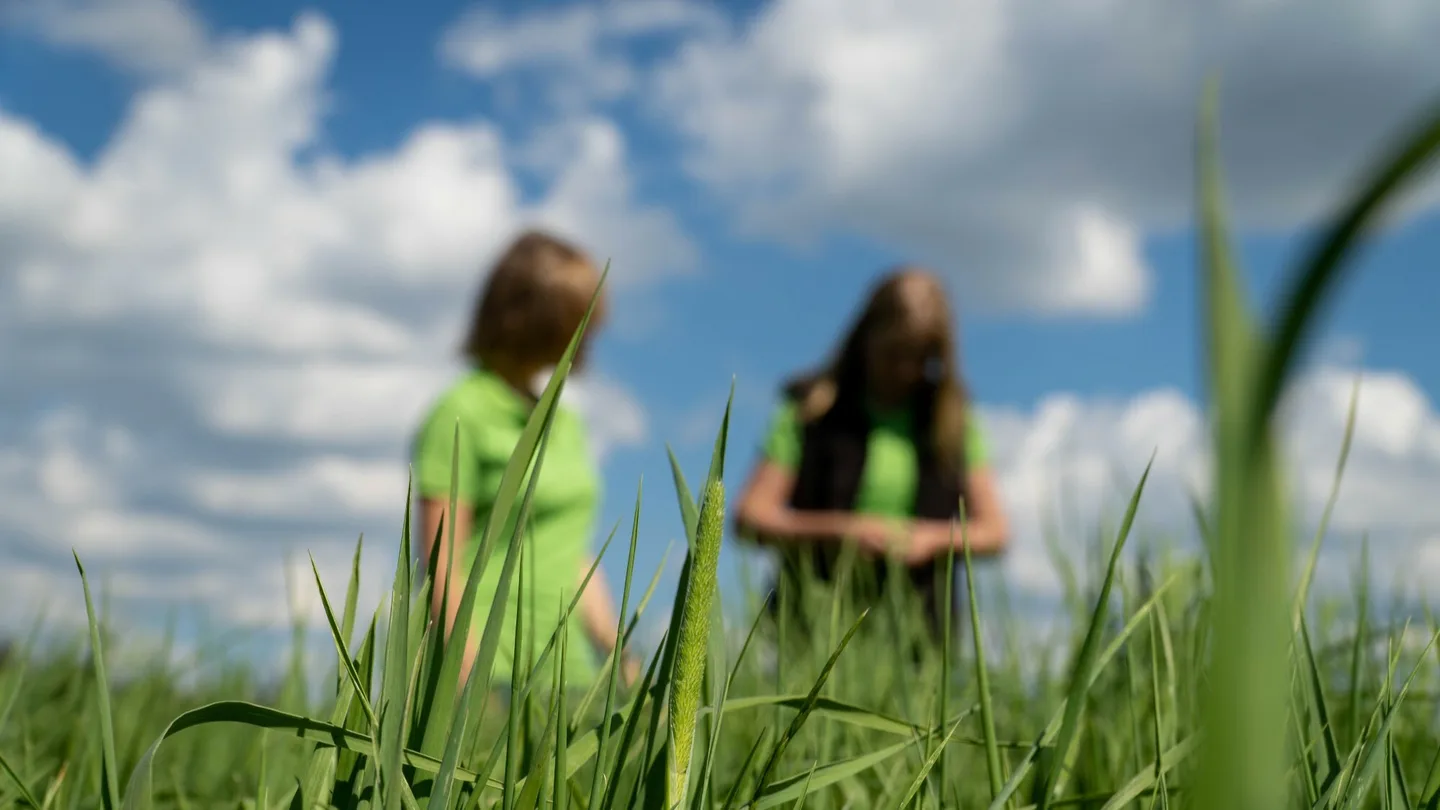Heinankorsia joiden takana taivasta vasten kaksi naisoletettua