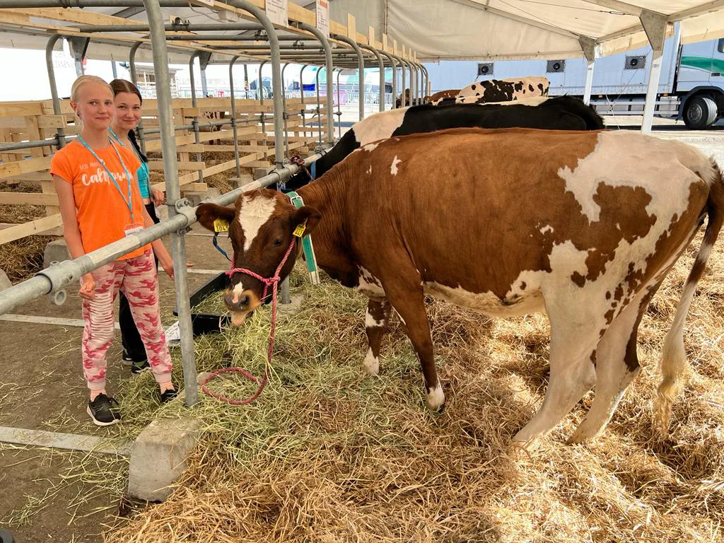 Farmari 2022 vastuullisuus lampaat Helmi Kuusenhako oranssi ja Ella Kalliokoski