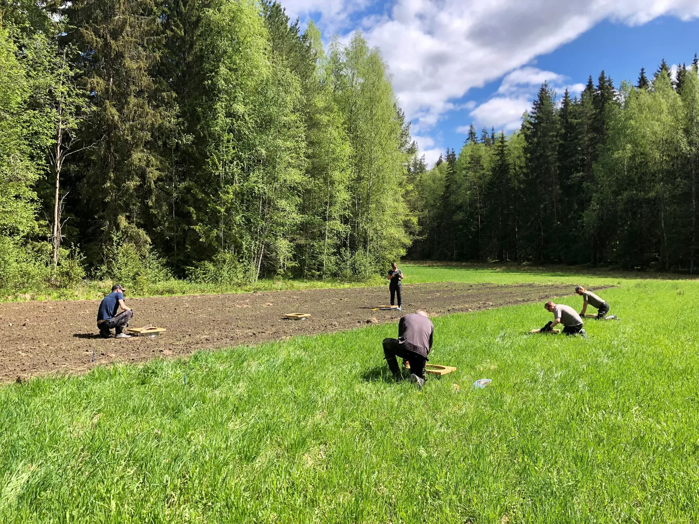 Hiilet In kesa2022 Soinne Helena