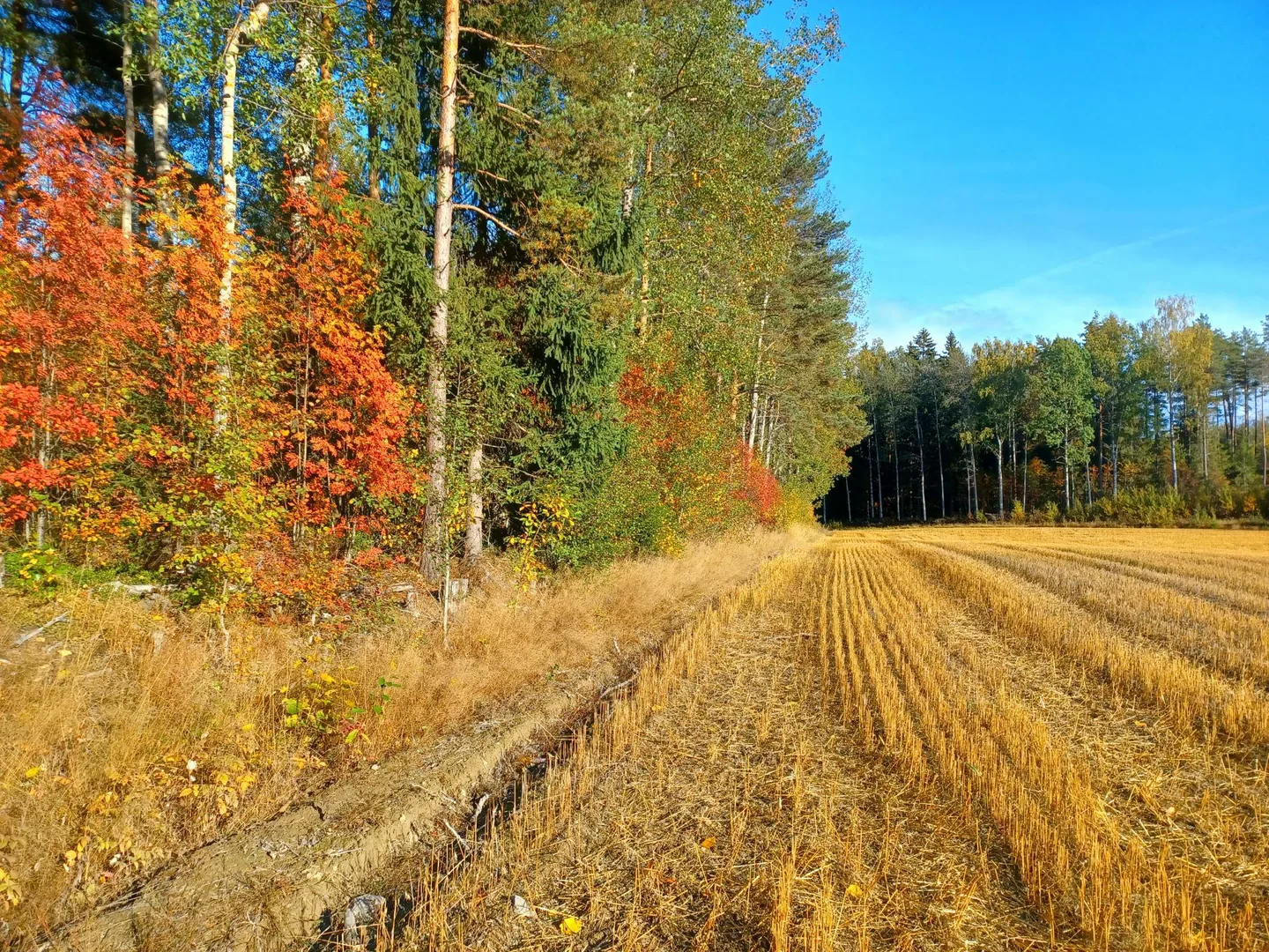 Kasvutilannekatsaus Sari Peltonen 20220919