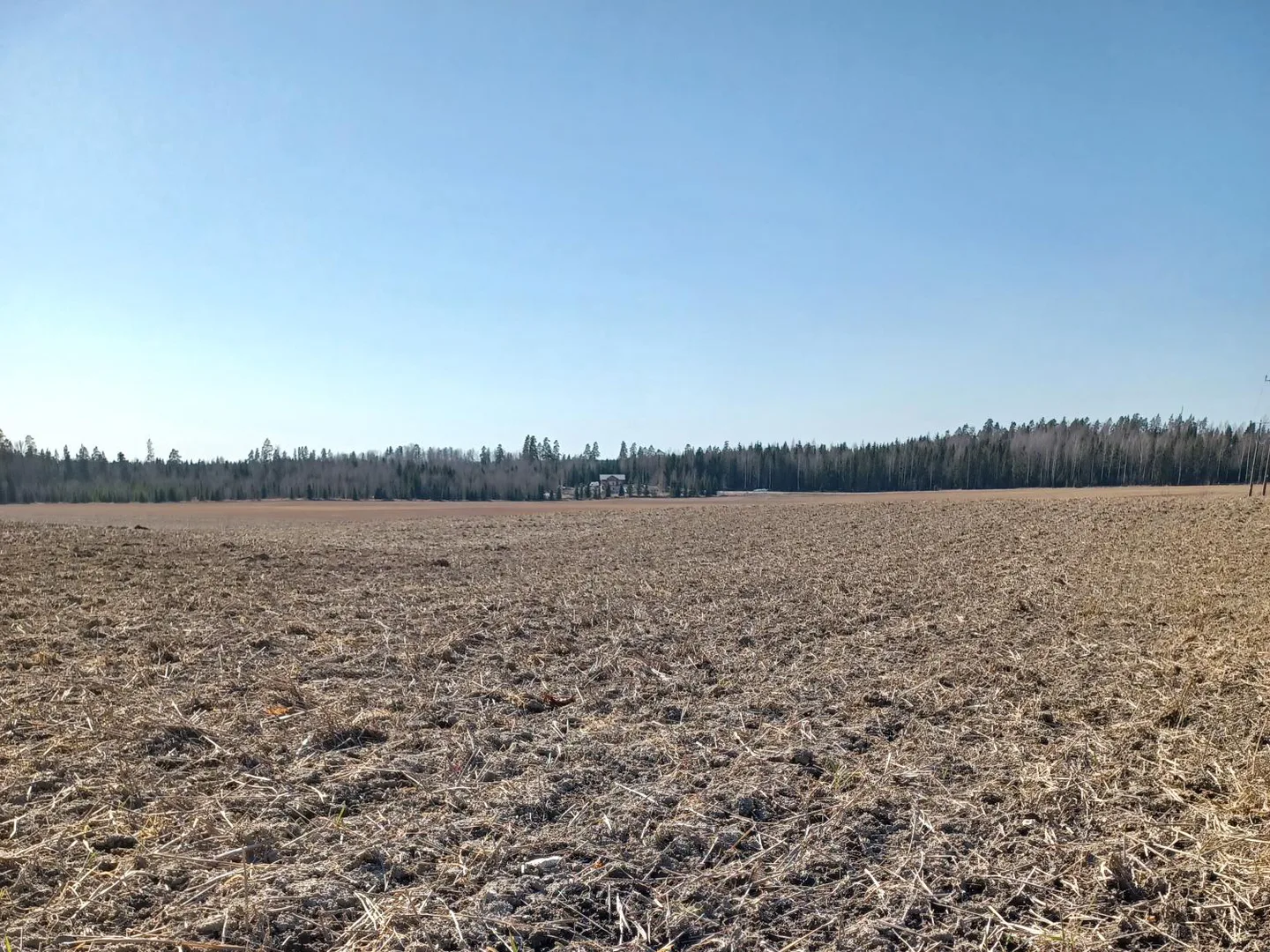 Ruskea pelto metsän reunassa, sininen taivas