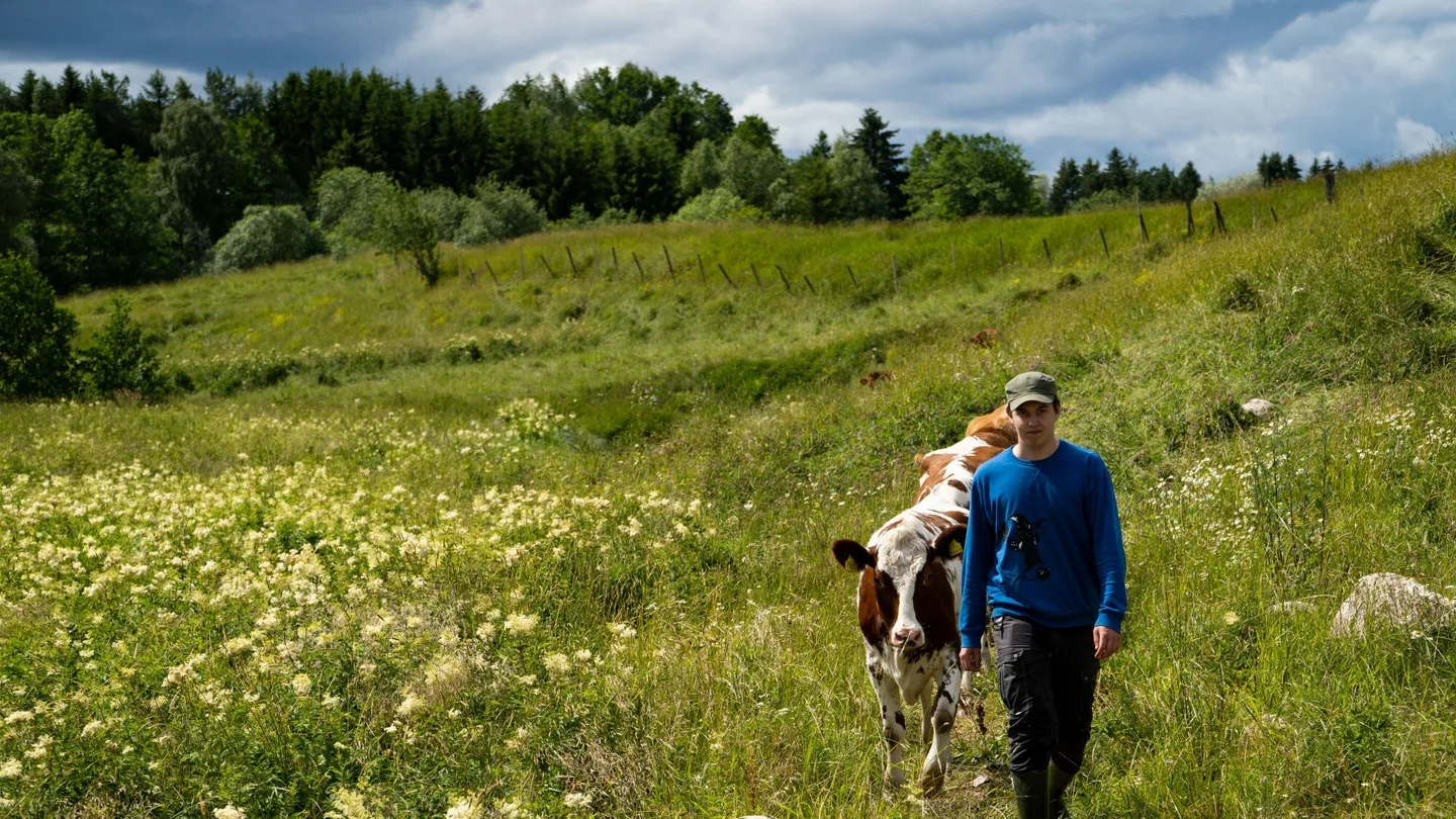 Maidontuotannon tulosseminaari 2026 kuva rajattu