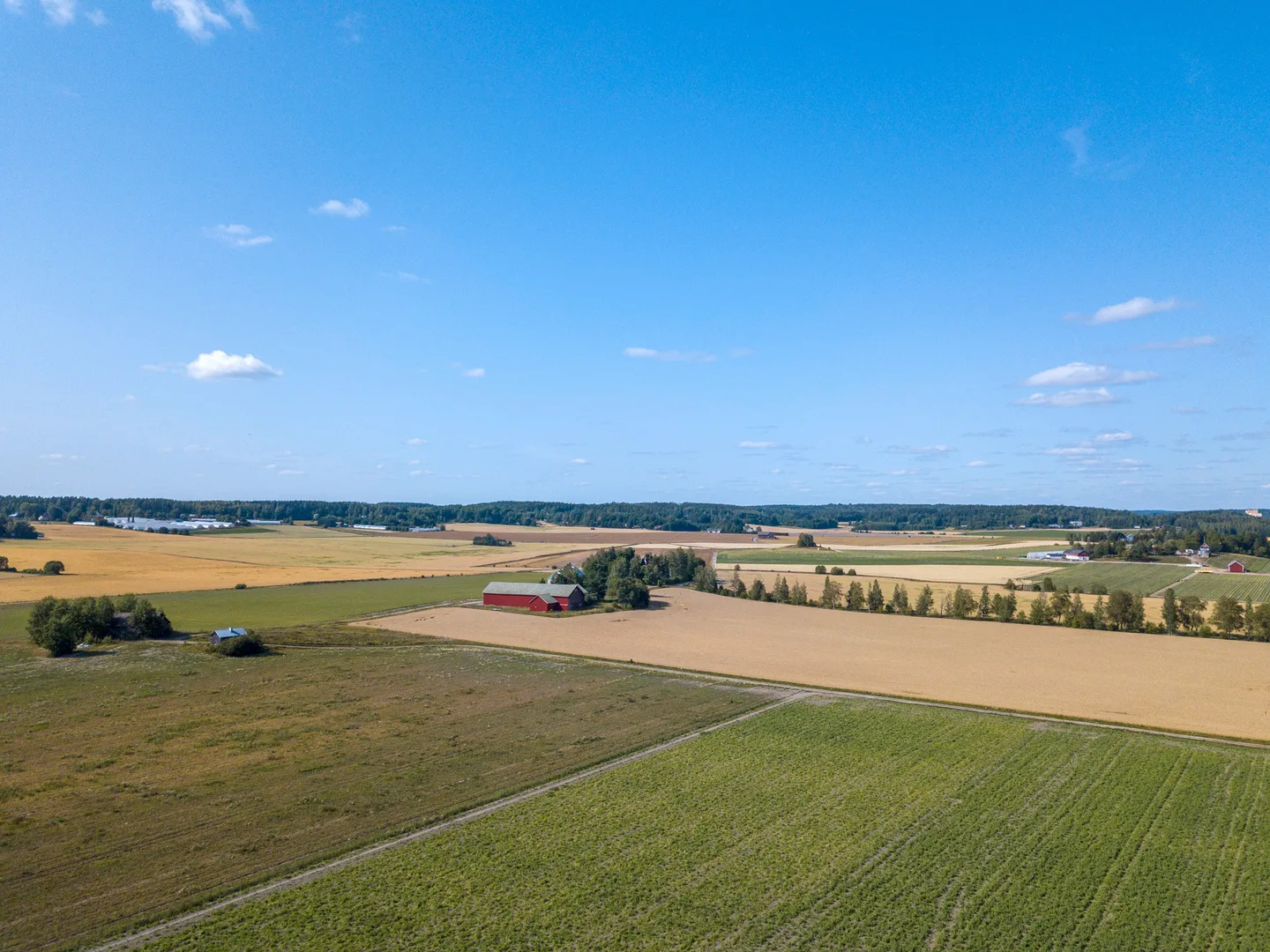 Peltomaisema Kiemra hanke