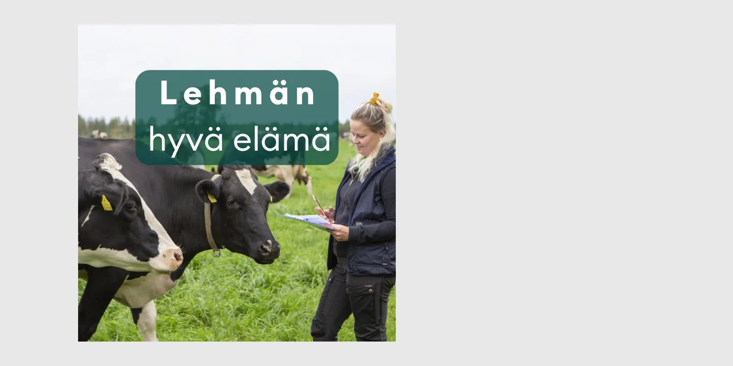 Lehman hyva elama