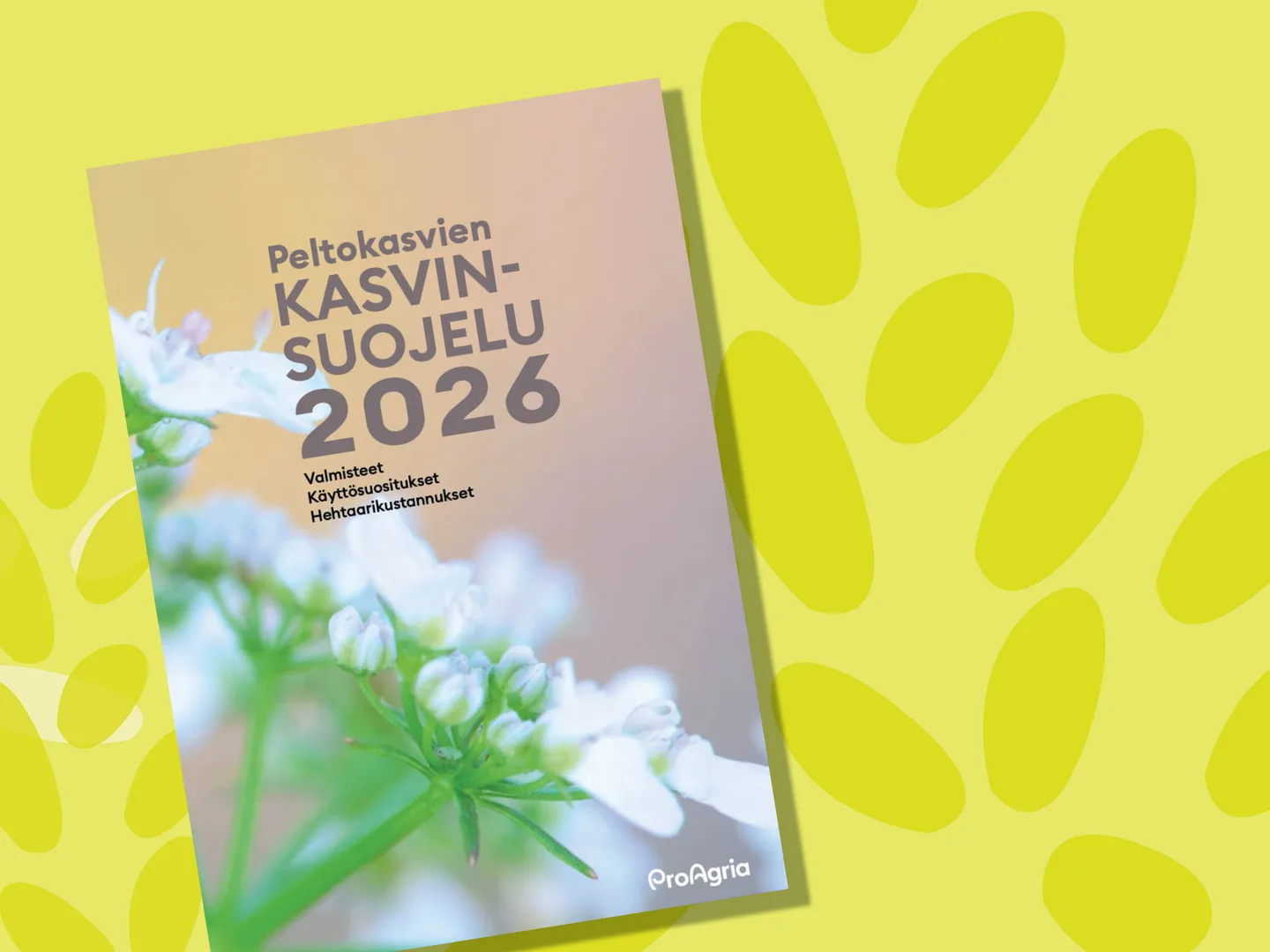 Pks 2026