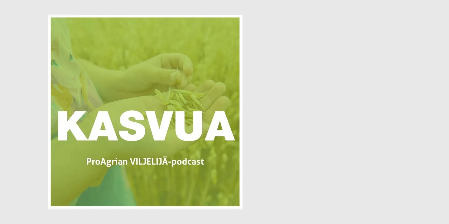 Podcast nettisivut kasvua