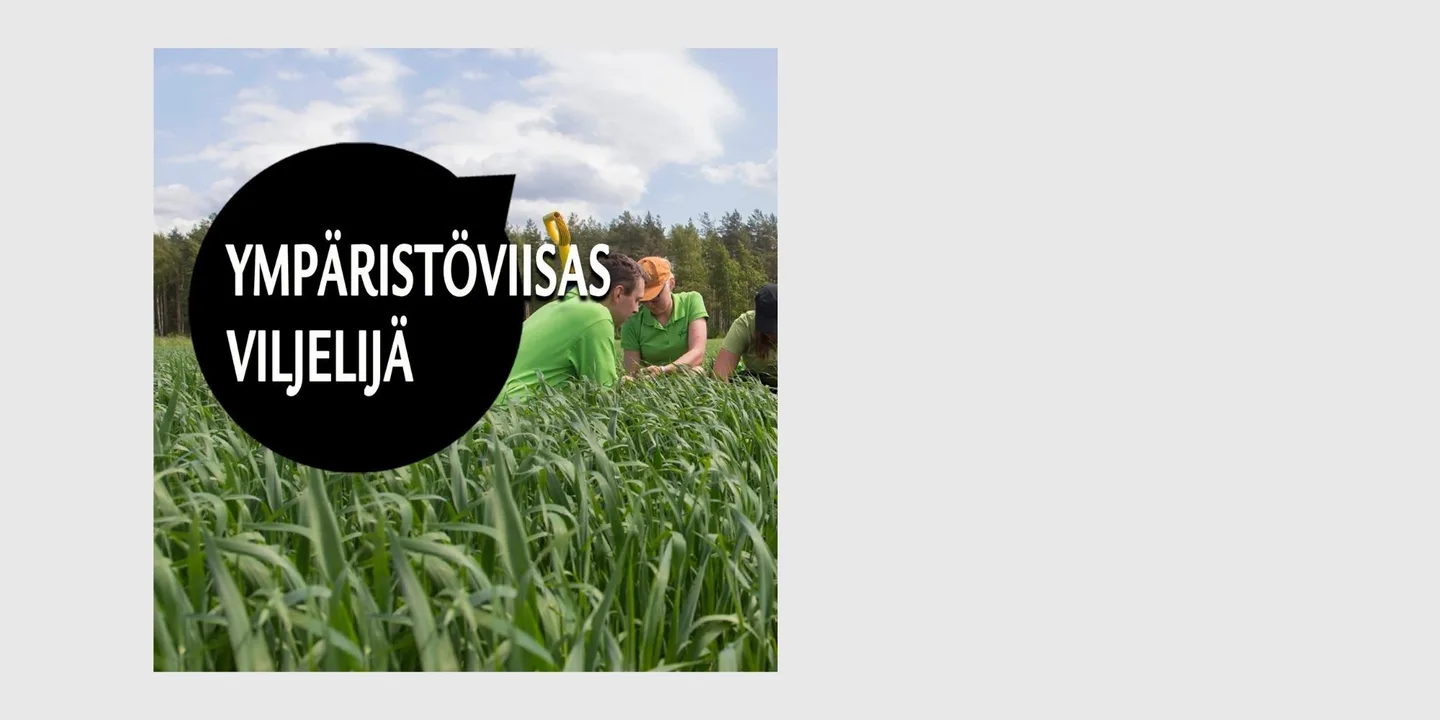 Ymparistoviisas