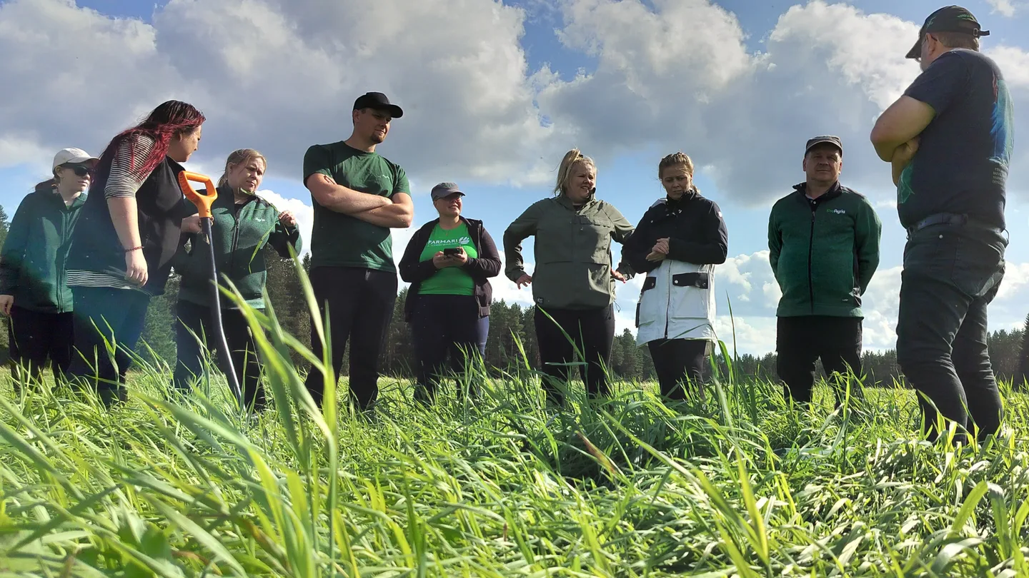 Asiantuntijat pellolla 2