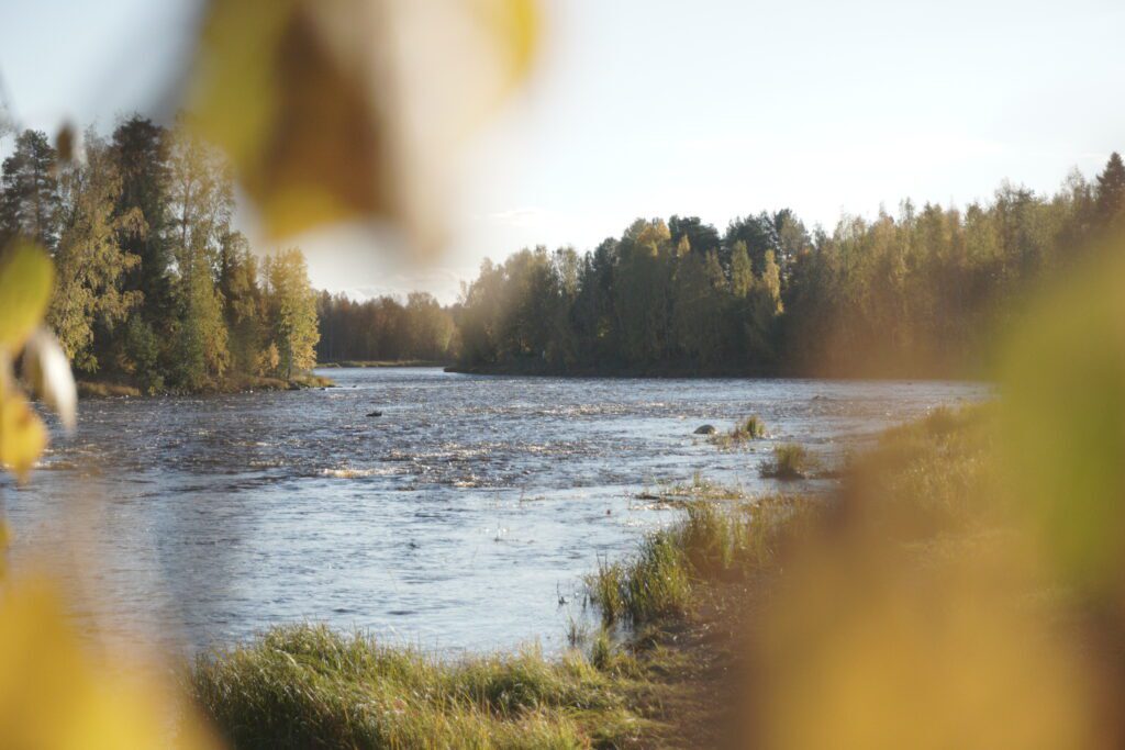 https://proagria-website.transforms.svdcdn.com/production/ProAgria/Oulu/DSC01137-2-1024x683.jpg?w=1024&h=683&auto=compress%2Cformat&fit=crop&dm=1790598392&s=c6e9602911bd9d976ffe0de4303ad279