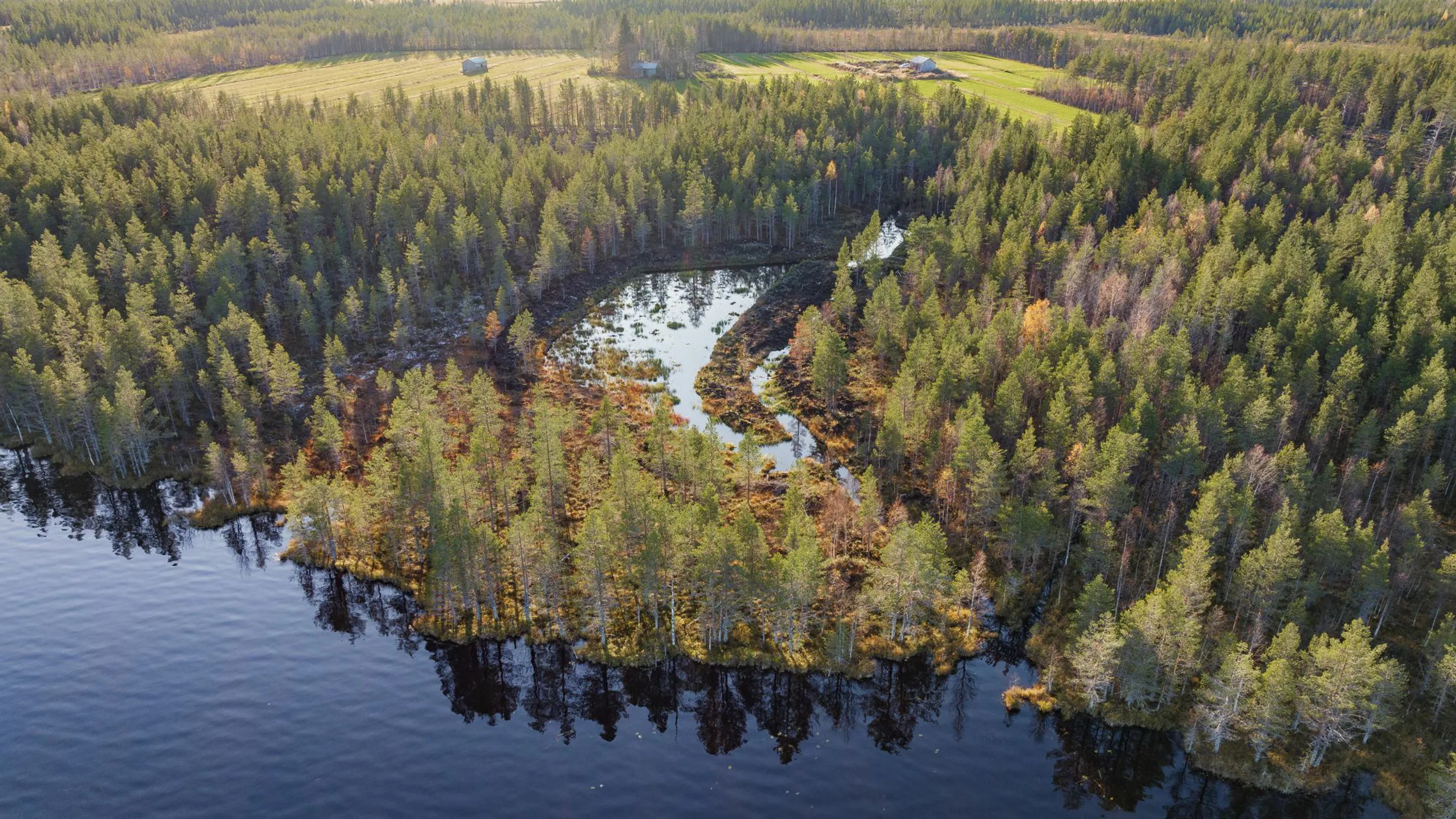 ProAgria Valuma aluetasoisella Vesienhallinnan Suunnittelulla proagria-valuma-aluetasoisella-vesienhallinnan-suunnittelulla