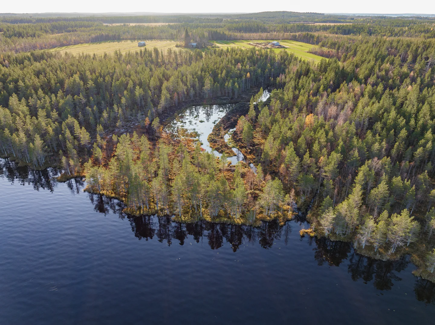 Lampisuo vedet haltuun valuma alueilla