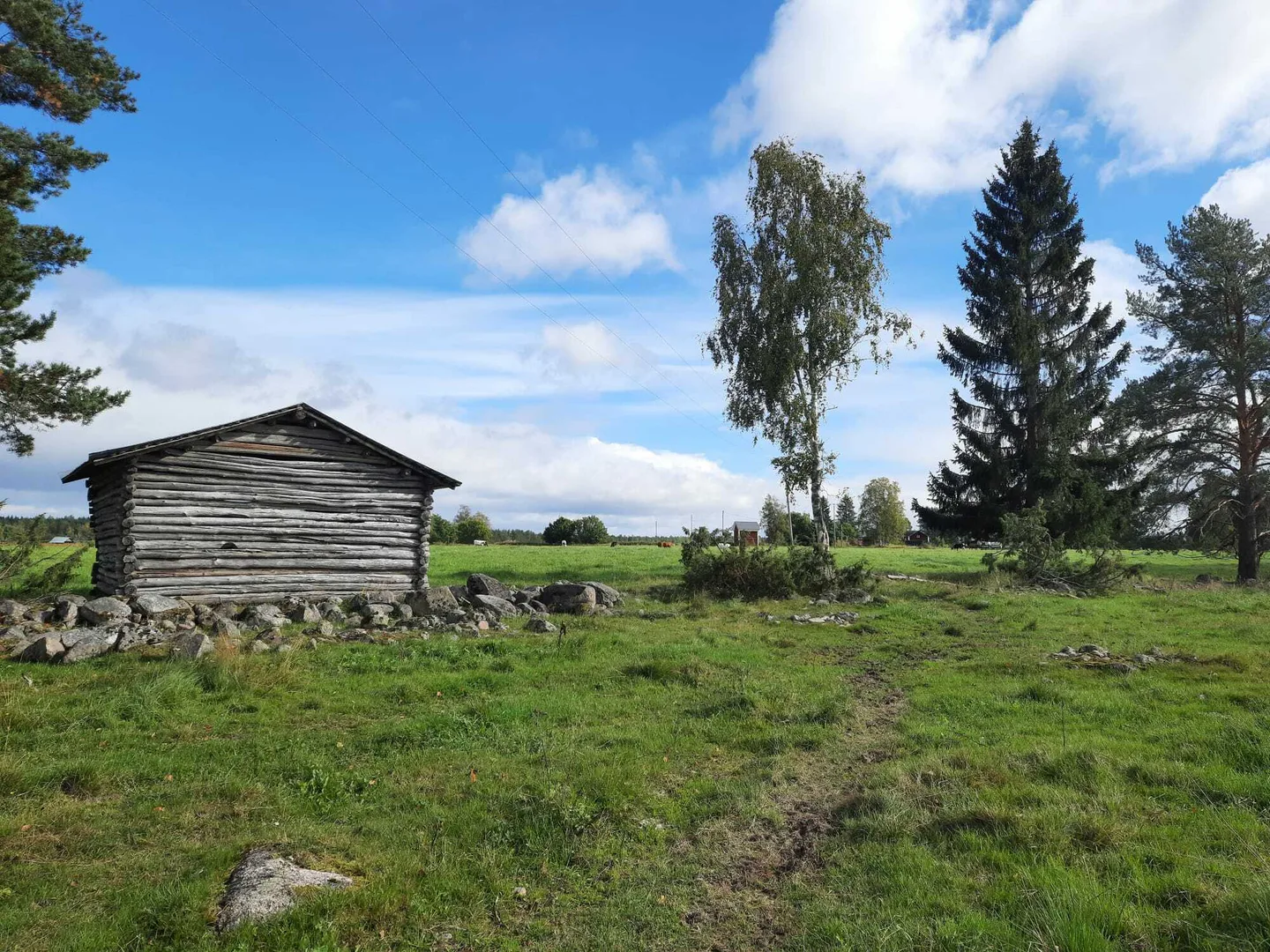 Luonnon monimuotoisuus maatilalla paakuva