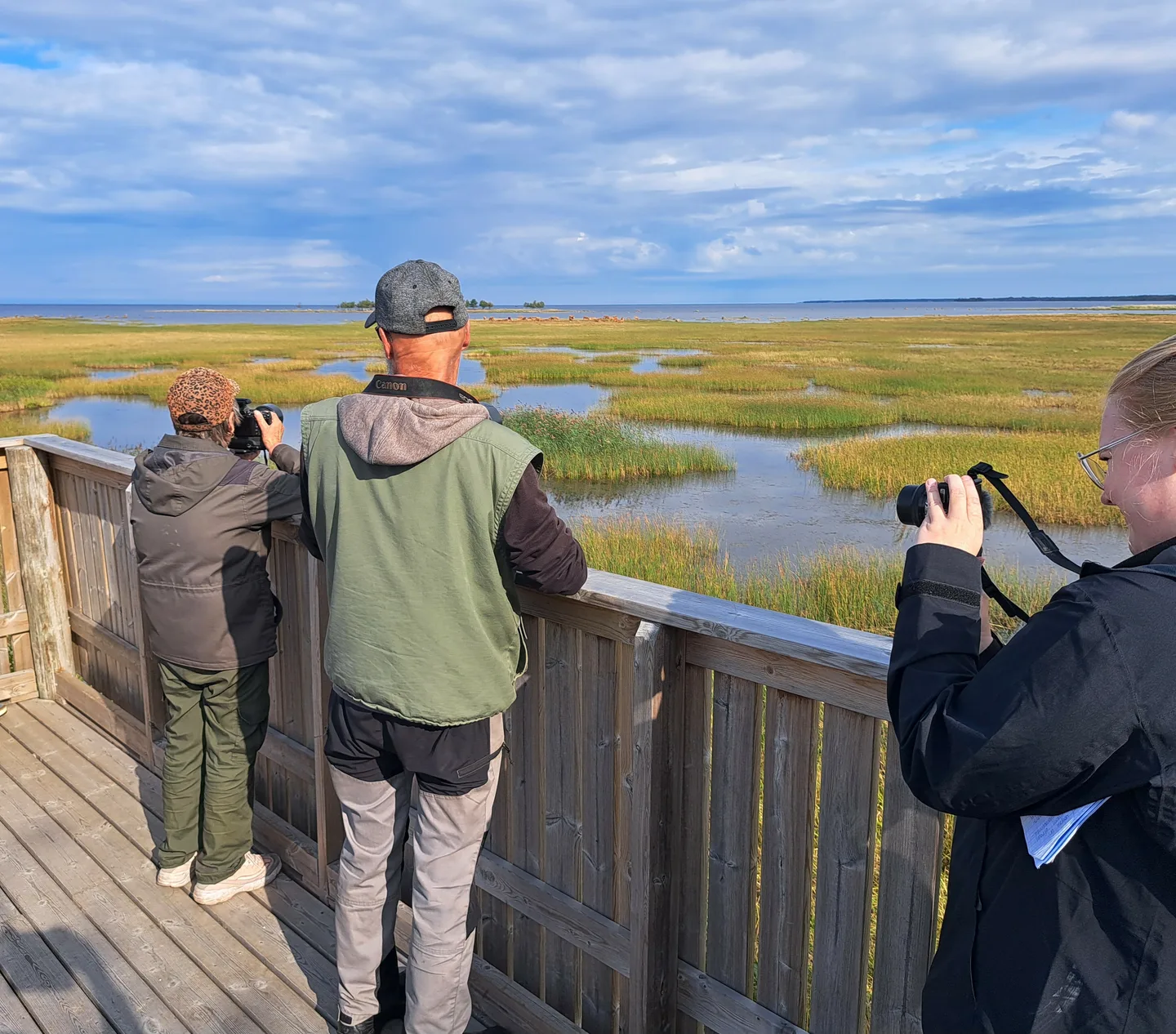 Niitty HOI kansikuva Marika Laurila