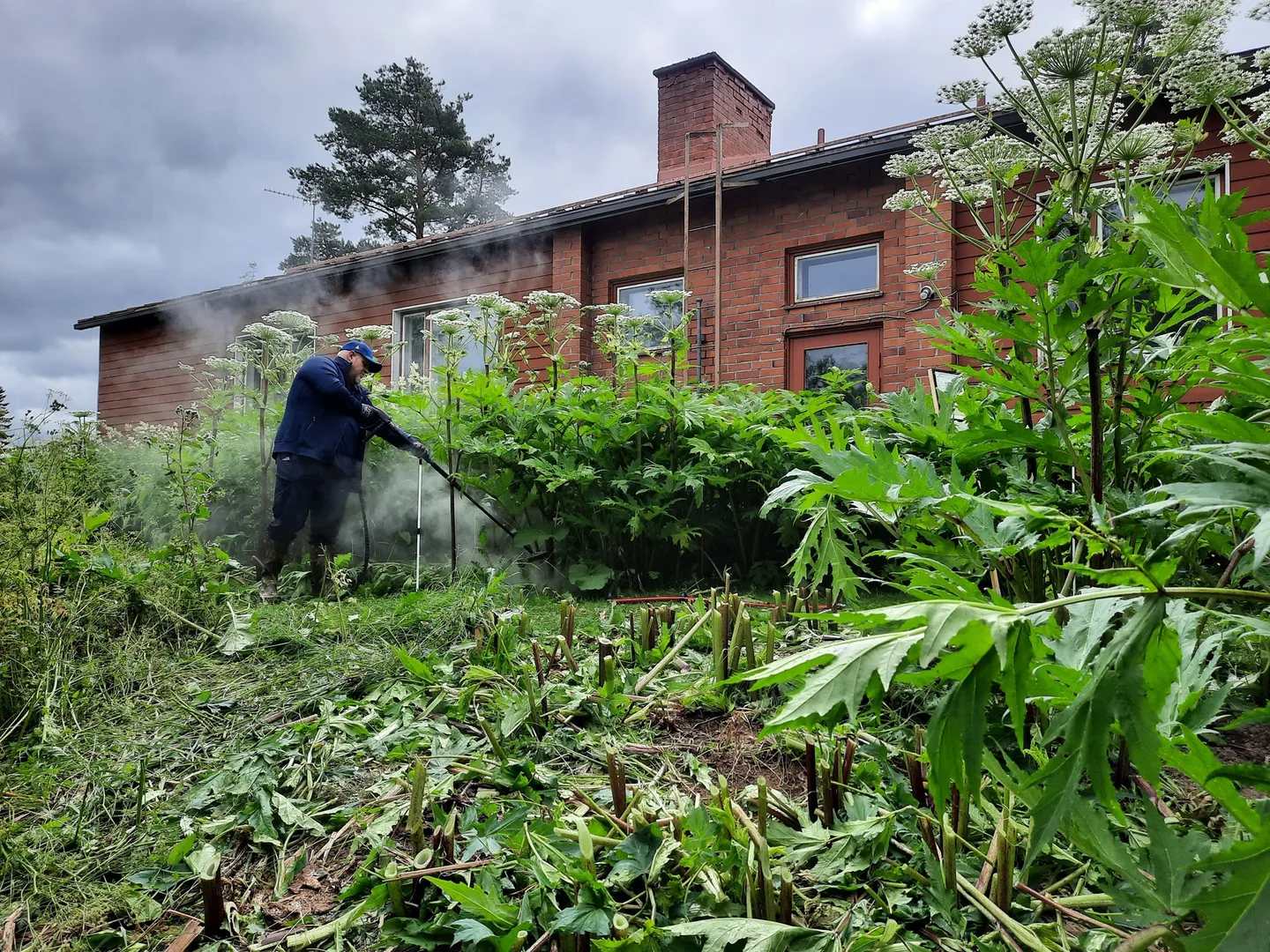 Nivala jattiputken kuumavesikasittely 2024