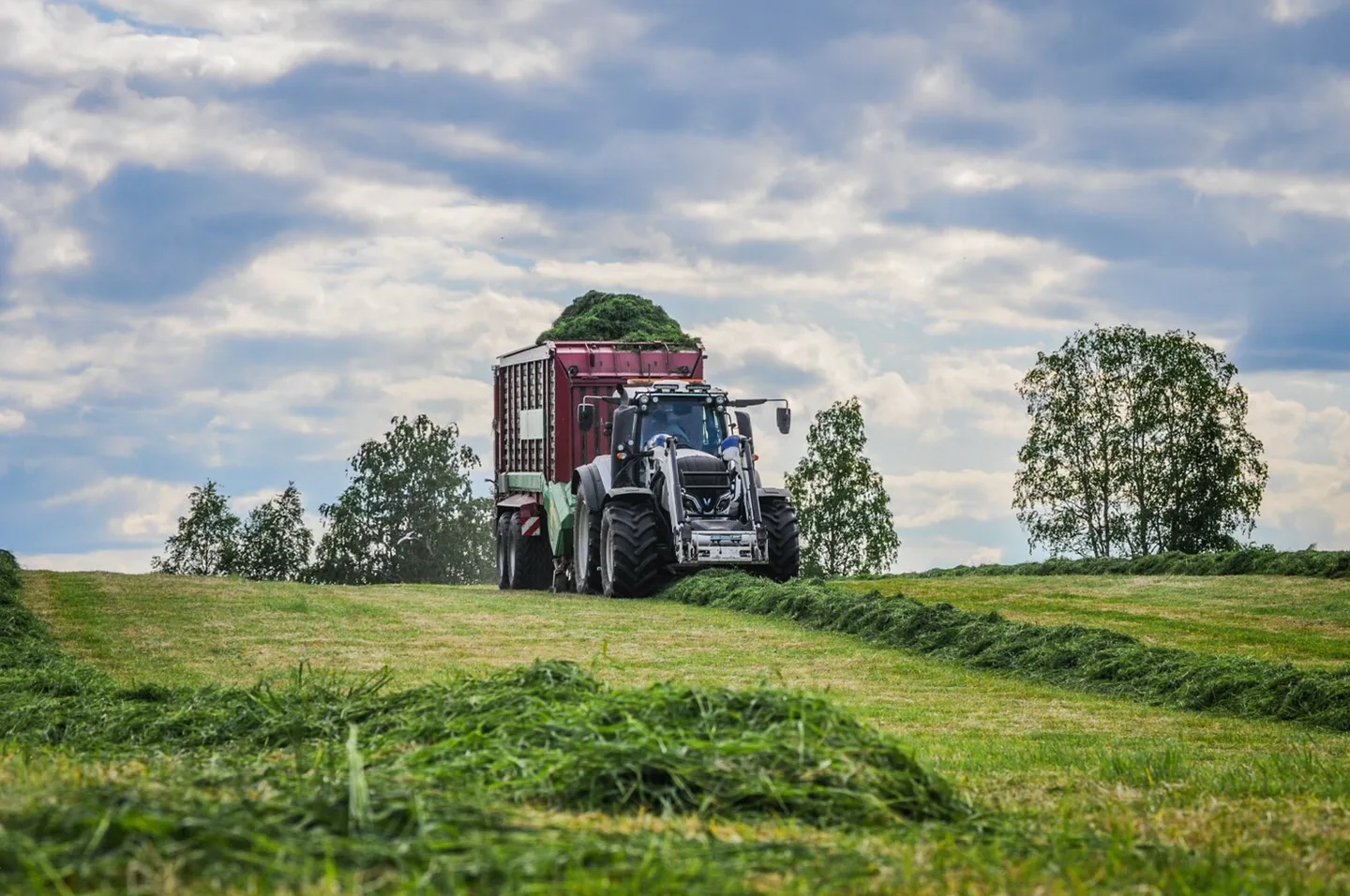 Nurmi Hannele Anttila