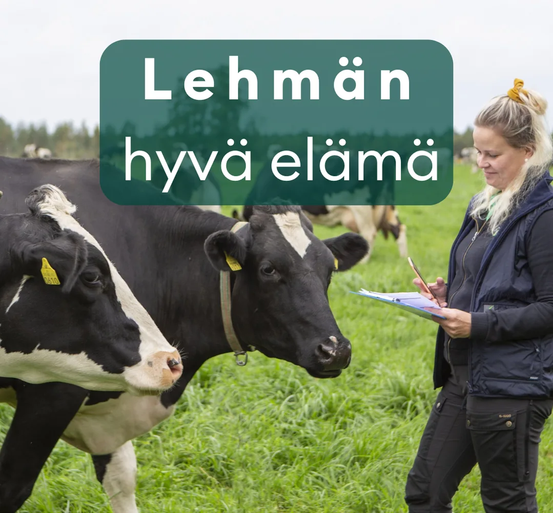 Podin kansikuva feed