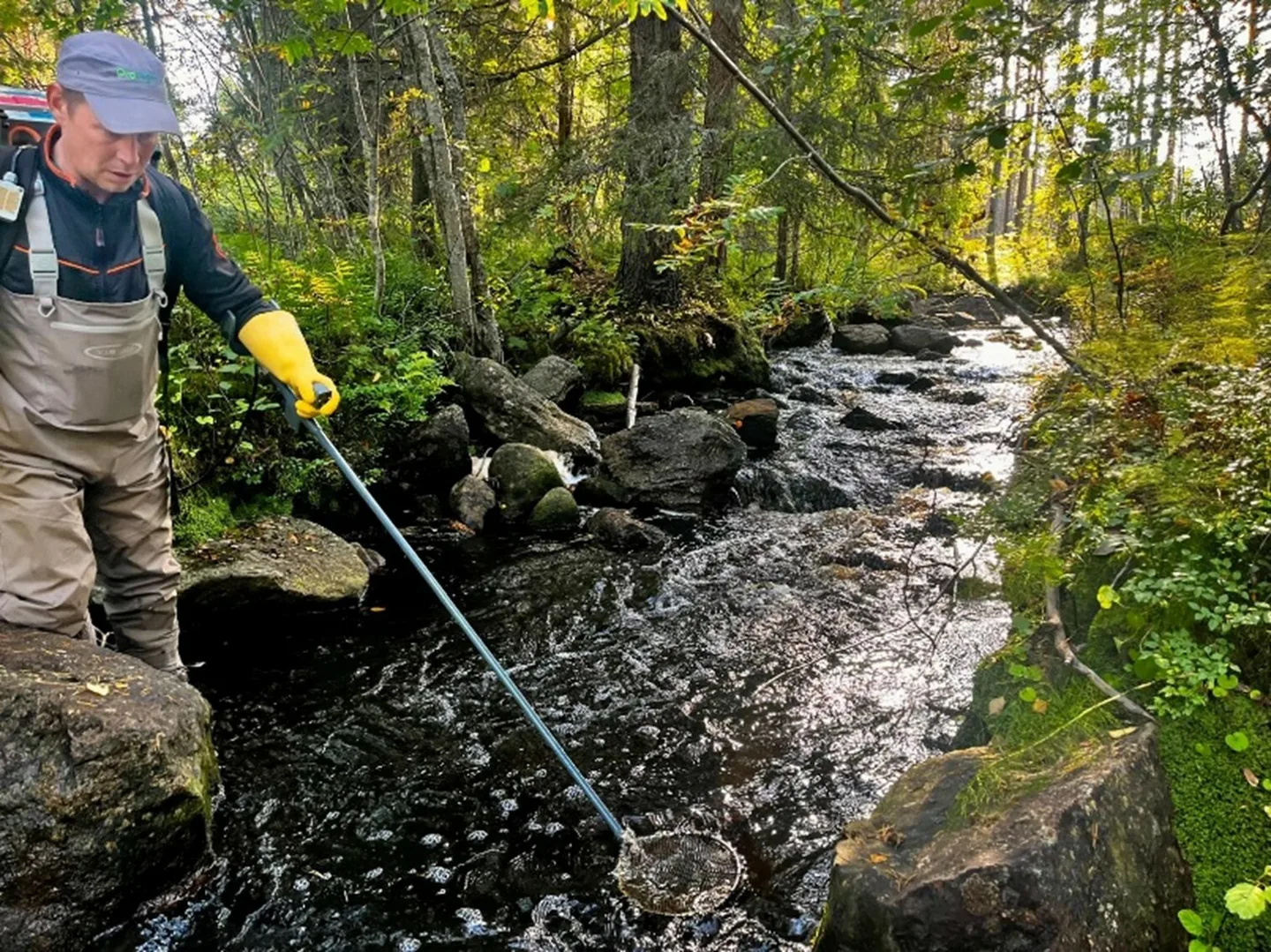 Sivu 18 kuva Ade Risti