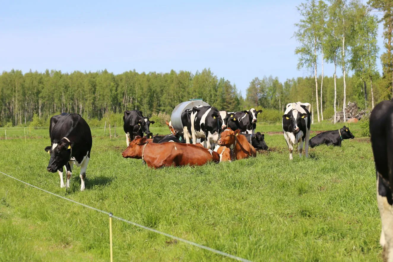 Sivu 9 laidunkausi ja ruokinta kuva ella karttimo