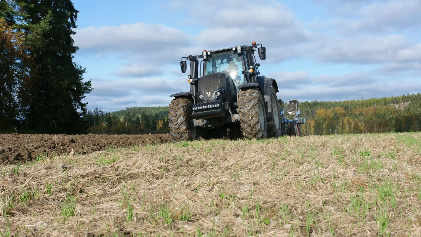 Syksyinen kynto Sonja Kankaanpaa