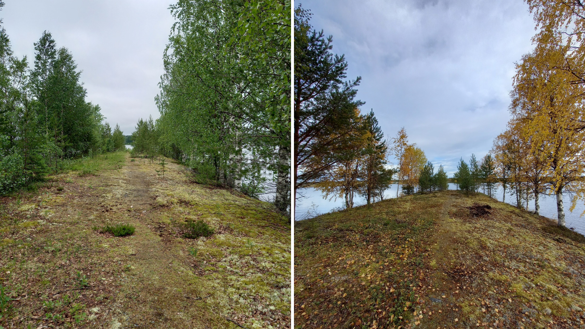 https://proagria-website.transforms.svdcdn.com/production/ProAgria/Oulu/lumo_lossinranta_ennenjajalkeen.png?w=2000&h=1125&auto=compress%2Cformat&fit=crop&dm=1790864097&s=57f798cfc08009b5192d74441951f8d7