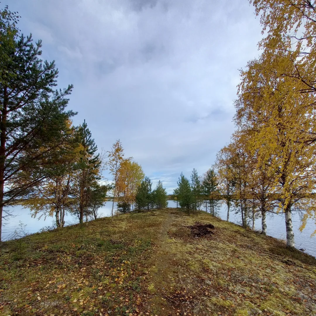 Lumo rantamaisema