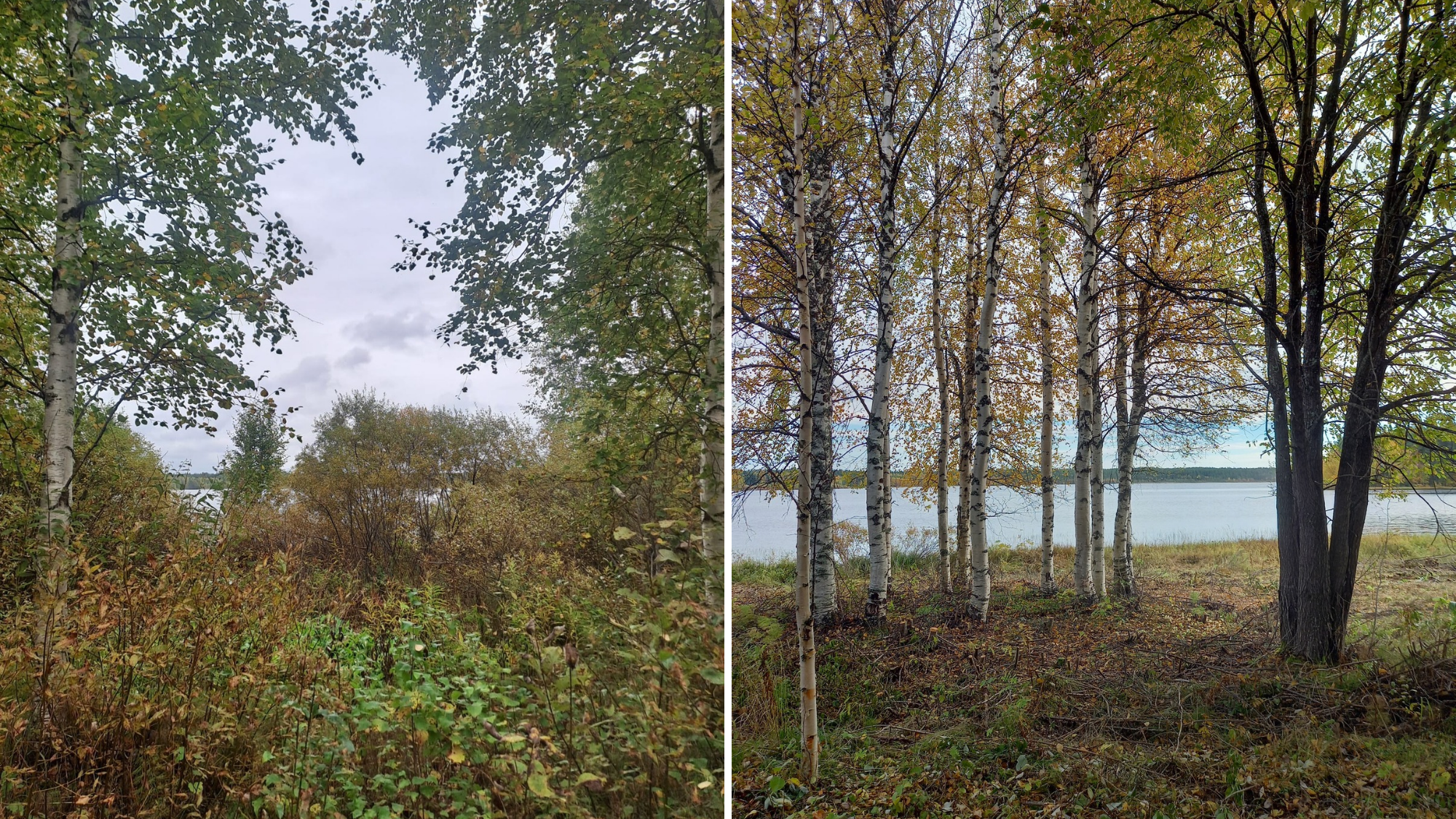 https://proagria-website.transforms.svdcdn.com/production/ProAgria/Oulu/lumo_rantamaisema_ennenjajalkeen.png?w=2000&h=1125&auto=compress%2Cformat&fit=crop&dm=1790864156&s=e2e71dd7f7c8791f71bb7edd5a2d7101