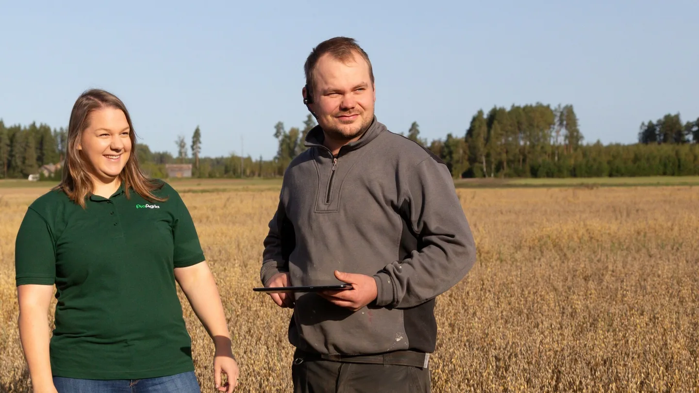 Talouden suunnittelu nainen ja mies viljapellolla katsovat aurinkoon