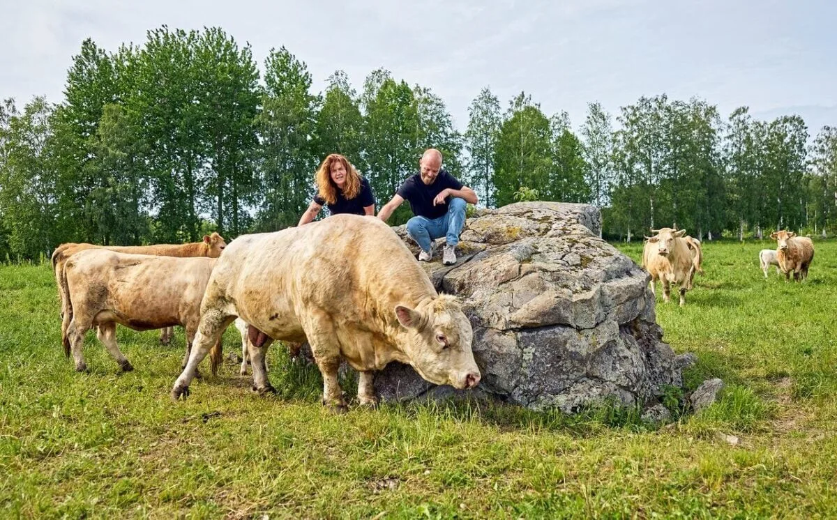 Sanna Kaisa Tervala2