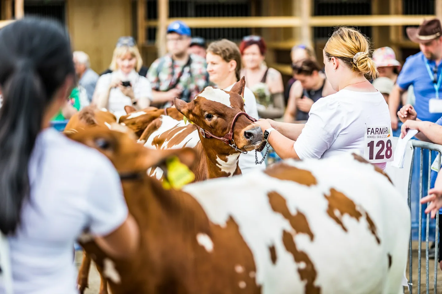 karjanäyttelyt farmarissa