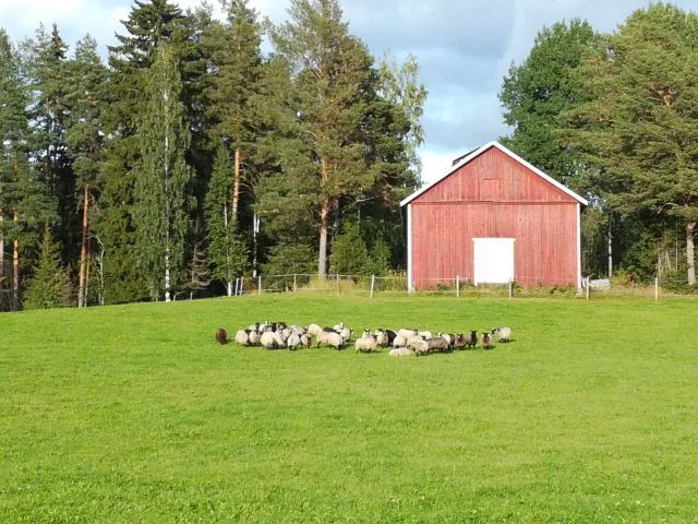 Laidun ja lato