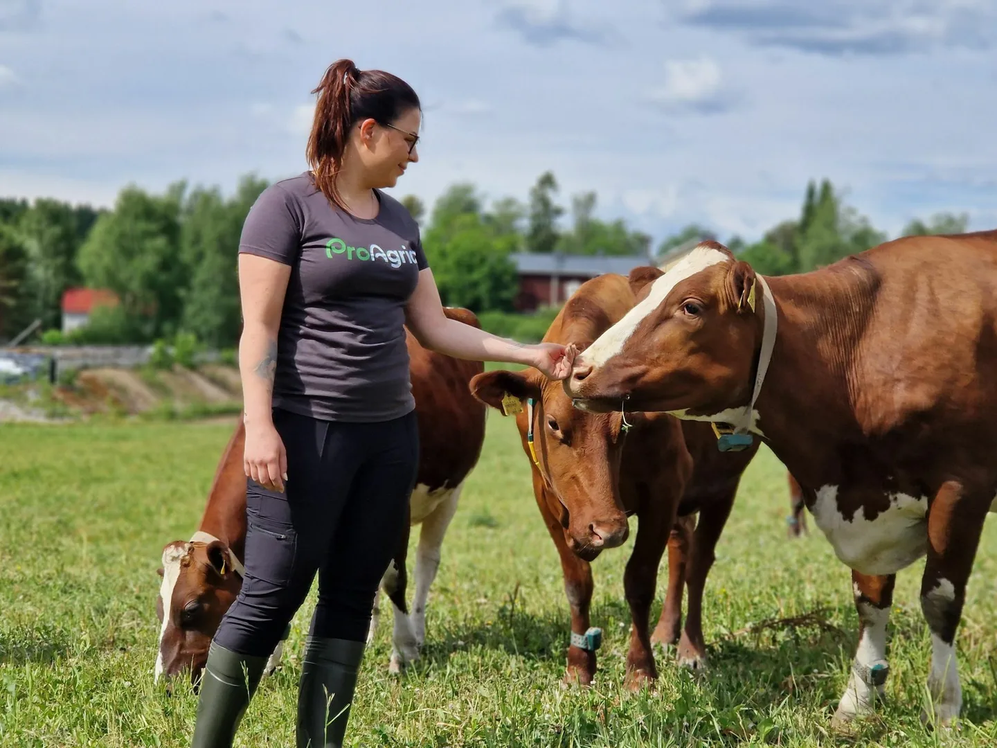 ProAgrian asiantuntija ja lehmia laitumella